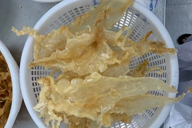 Bong bóng cá được giới nhà giàu ráo riết săn lùng vì điều này