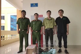 5 cá thể mèo rừng vừa được VQG Cúc Phương tiếp nhận: Quý hiếm sao?