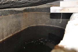 Mở quan tài dính “lời nguyền” diệt vong, hoảng hồn thấy cảnh rùng rợn