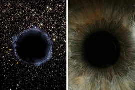 Cơ thể của mỗi người chính là một vũ trụ, đây là bằng chứng! 