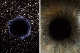 Cơ thể của mỗi người chính là một vũ trụ, đây là bằng chứng! 