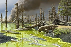 Phát hiện sinh vật bí ẩn hóa thạch trên vách đá bị xói mòn 