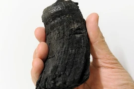 Bất ngờ xác “quái vật biển sâu” được tìm thấy ở độ cao 2.700m