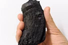 Bất ngờ xác “quái vật biển sâu” được tìm thấy ở độ cao 2.700m