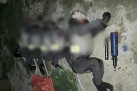 Tận mục loài thú quý ở Việt Nam: Còn rất ít, "hiếm như ngọc"! 