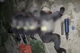 Tận mục loài thú quý ở Việt Nam: Còn rất ít, "hiếm như ngọc"! 