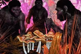 Phát hiện sinh vật ăn thịt cả quái thú, mang dòng máu con người 