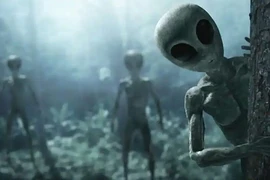 "Sự cố" người ngoài hành tinh hãi hùng gây chấn động Kōfu, Nhật Bản