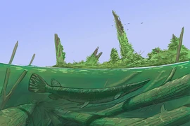 Phát hiện quái vật kỳ dị kỷ Jura sống sót sau thảm hoạ