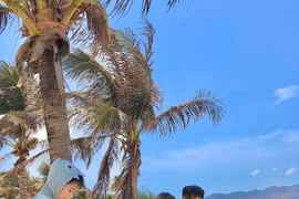 Style thời trang cute của ba nhóc tì hot nhất mạng xã hội Cam, Xoài, Đậu