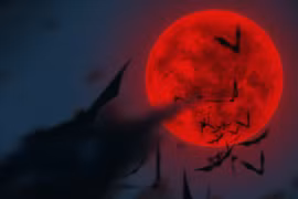 Giải mã cực choáng hiện tượng kỳ dị mỗi kỳ trăng máu