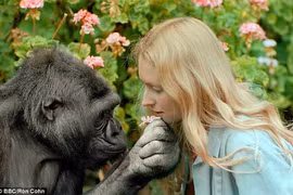 Những sự kiện kỳ lạ nhất thế gian, chuyên gia cũng bó tay