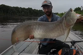 Bắt được 'thủy quái' có vảy rồng kỳ lạ, cần thủ bủn rủn