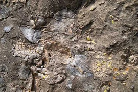 Kho báu khổng lồ chứa 1.000 tấn vàng: Không ai dám đụng!