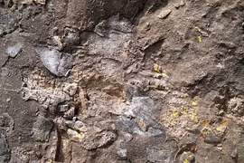 Kho báu khổng lồ chứa 1.000 tấn vàng: Không ai dám đụng!