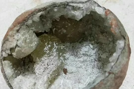 Bất ngờ thấy trứng khủng long “ma” ngậm pha lê, chuyên gia nói gì? 