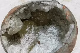 Bất ngờ thấy trứng khủng long “ma” ngậm pha lê, chuyên gia nói gì? 