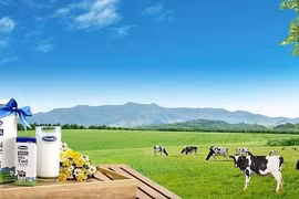 Vinamilk thận trọng về triển vọng quý 4/2020 do Covid-19 và lũ lụt