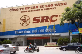 Hé lộ lợi nhuận của Cao su Sao Vàng sau 1 năm đại gia Hoành Sơn điều hành