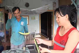 Dưa cho trái kỳ lạ dài gấp 4 lần trái thường, nghi đột biến gen