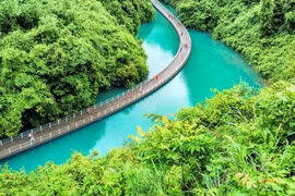 Chiêm ngưỡng cây cầu gỗ bắc qua sông đẹp đến nao lòng