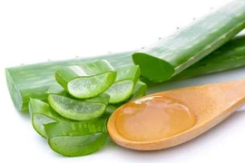 Những loại thảo mộc quen thuộc giúp giảm đau xương khớp cực hiệu quả