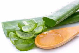 Những loại thảo mộc quen thuộc giúp giảm đau xương khớp cực hiệu quả