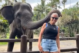 Đang chụp ảnh, nữ du khách bị voi cắn gãy tay