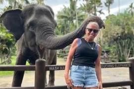 Đang chụp ảnh, nữ du khách bị voi cắn gãy tay