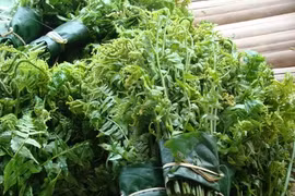 Các món rau rừng ngon “quên lối về” của đồng bào Tây Bắc