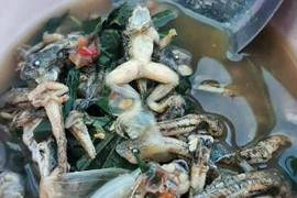 Nhìn thấy sợ món nòng nọc ếch ướp cay kinh dị của Thái Lan