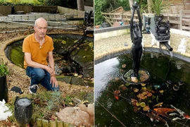 Chủ nhà khóc ròng vì rái cá ăn thịt hơn 100 con cá Koi