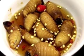 Nhìn ghê sợ nhưng đuông dừa có thể chế biến loạt món ngon gây ghiền