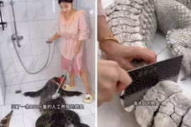 Nữ vlogger Trung Quốc hứng chỉ trích vì đăng video làm thịt cá sấu