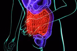 Ung thư bàng quang của nhạc sĩ 'Về đây nghe em”... triệu chứng, phòng ngừa?