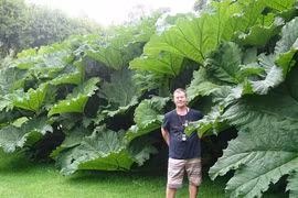 Kỳ lạ vùng đất trồng cây cối khổng lồ khó tin ở Nga