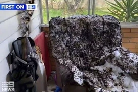 Cãi nhau chuyện vặt, vợ tẩm xăng thiêu sống chồng