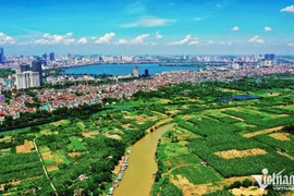 Hà Nội muốn Đông Anh, Gia Lâm lên quận ngay năm nay