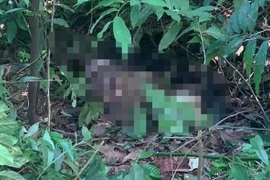 Xác định được thi thể nam giới quấn chăn và dây trên đồi Cao