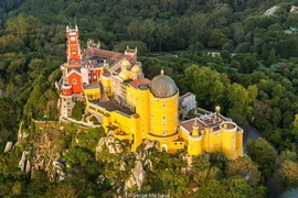 Choáng ngợp lâu đài nổi bật giữa rừng xanh như trong cổ tích