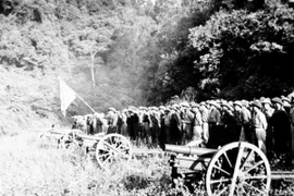 Những chiến dịch toàn thắng của quân dân ta trong Kháng chiến chống Pháp