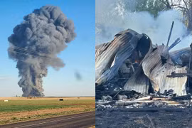 Nổ lớn giết chết 18.000 con bò sữa của trang trại Mỹ