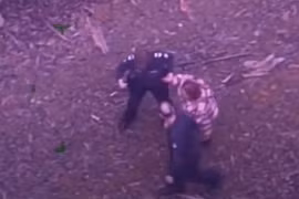 Lạc trong rừng rậm 5 ngày, người phụ nữ may mắn được cứu