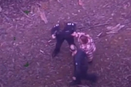 Lạc trong rừng rậm 5 ngày, người phụ nữ may mắn được cứu