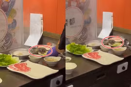 Hú hồn vì đang ăn, con chuột rơi ngay xuống cạnh nồi lẩu