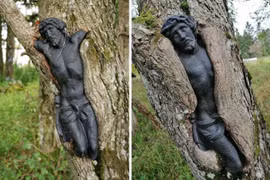 Ngắm nhìn mẹ thiên nhiên "nuốt chửng" mọi đồ vật