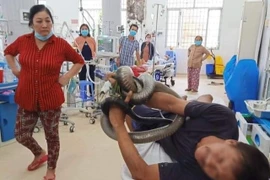 Sơ cứu thế nào khi bị rắn cắn?