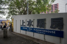 Người đàn ông tử vong trong lò mổ vì bị lợn tấn công