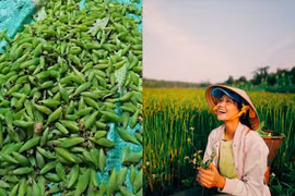 H'Hen Niê khoe món khoái khẩu nhộng sâu muồng khiến nhiều người phát khiếp