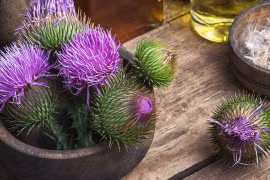 Những loại trà giúp giải độc cơ thể bạn nên biết